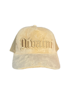 Load image into Gallery viewer, Tan Velvet Trucker Hat
