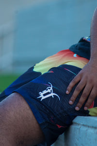 Sunset Mesh Shorts